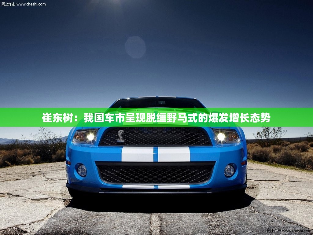 崔东树：我国车市呈现脱缰野马式的爆发增长态势