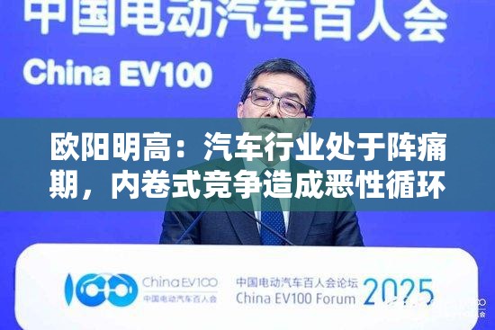 欧阳明高：汽车行业处于阵痛期，内卷式竞争造成恶性循环