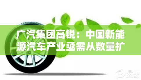 广汽集团高锐：中国新能源汽车产业亟需从数量扩张转向质量引领