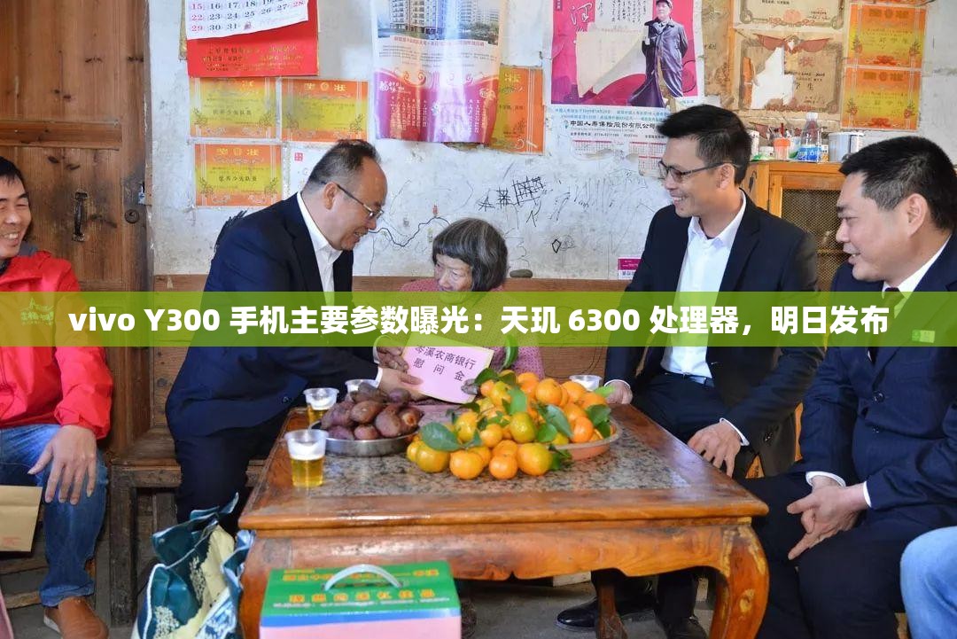vivo Y300 手机主要参数曝光：天玑 6300 处理器，明日发布