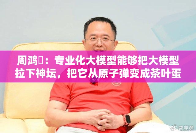 周鸿祎：专业化大模型能够把大模型拉下神坛，把它从原子弹变成茶叶蛋