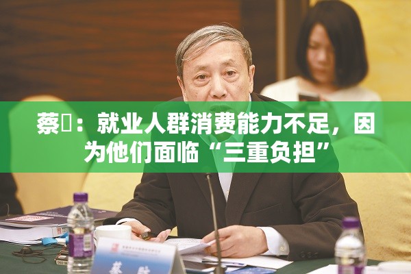 蔡昉：就业人群消费能力不足，因为他们面临“三重负担”