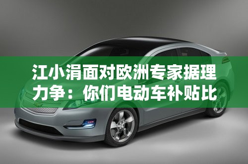 江小涓面对欧洲专家据理力争：你们电动车补贴比中国还高，为什么说我？
