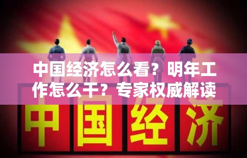 中国经济怎么看？明年工作怎么干？专家权威解读